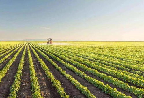 一文读懂智慧农业 行业机会 发展模式 场景应用 未来路线