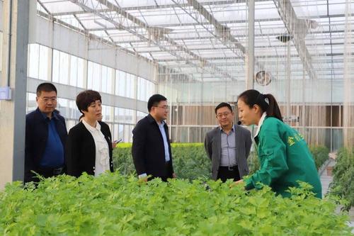 济宁高新技术产业开发区考察园到田柳镇考察现代高效农业