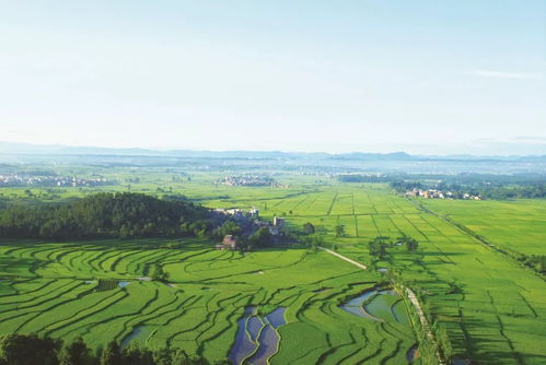 德兴市乡屯农业科技发展专业合作社 打造 绿色之食品 农旅之胜地